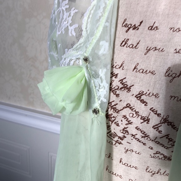 Vintage 1960’s Chiffon Lace Babydoll - Picture 7 of 8